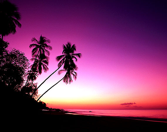 Tropical Sunset! {www.Virtual-Travel.Info]